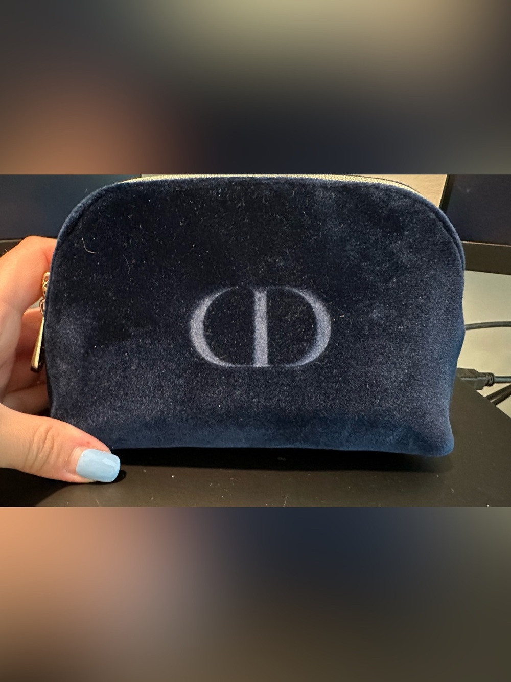 Dior Navy and Gold Small Pouch